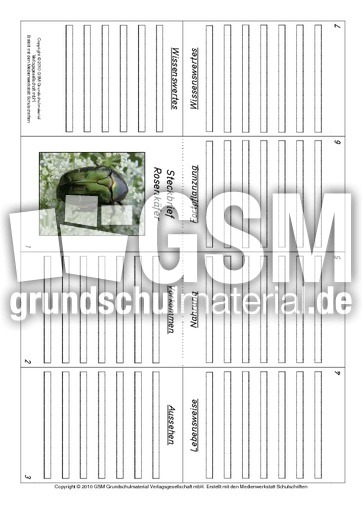Faltbuch-Rosenkäfer.pdf